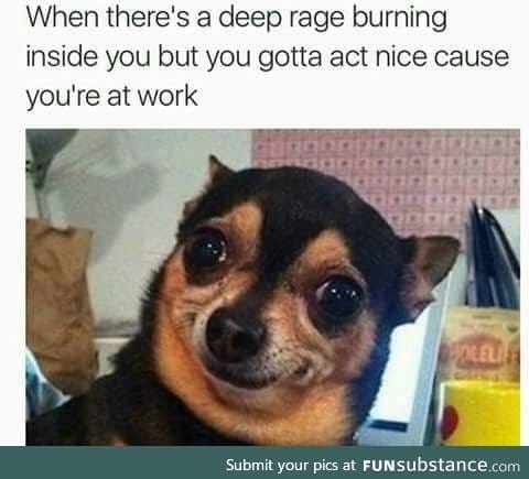 Relateable Doggo