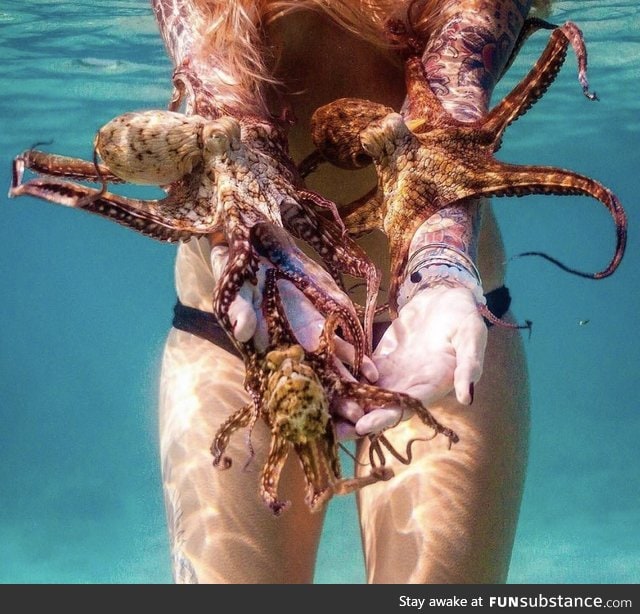 Octopus whisperer