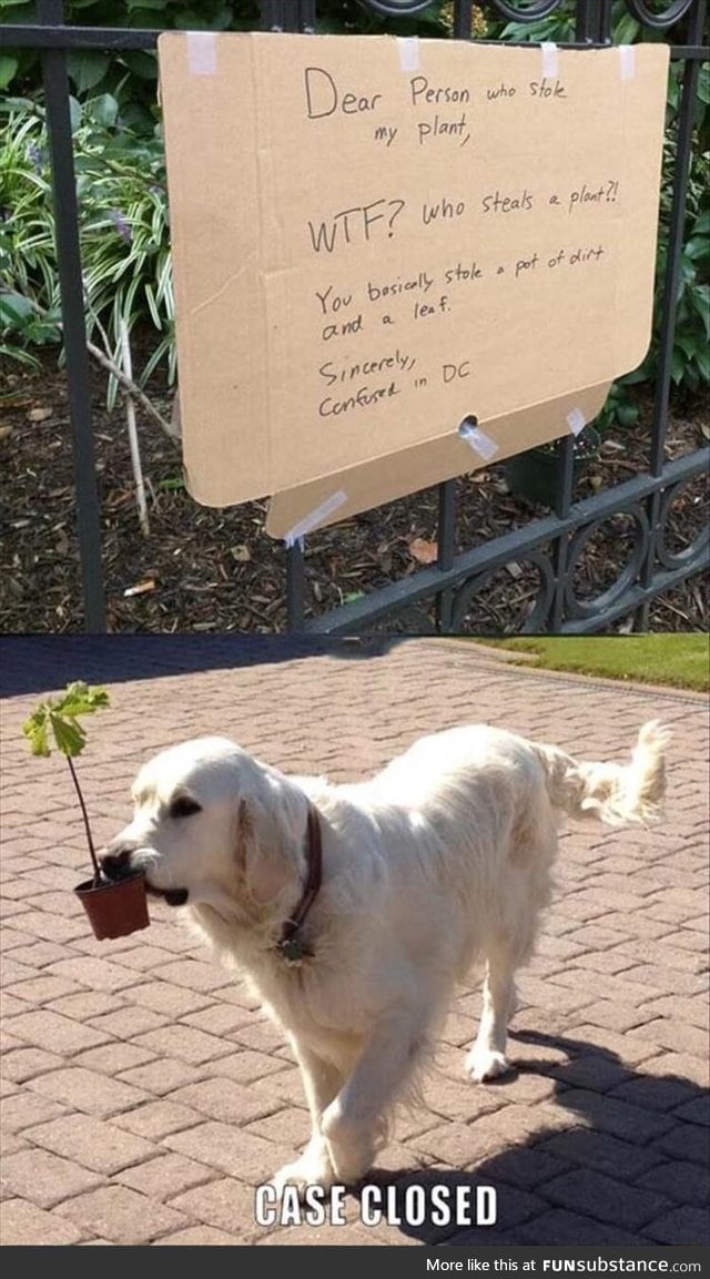 Plant stealer