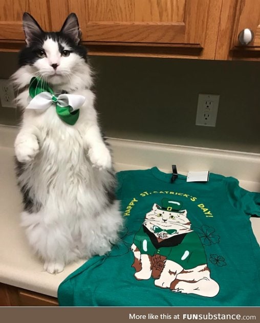 Happy St. Catricks Day!