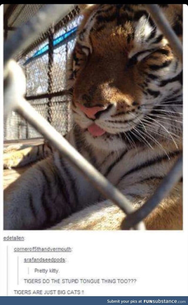 Blep