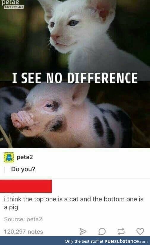 C'mon PETA