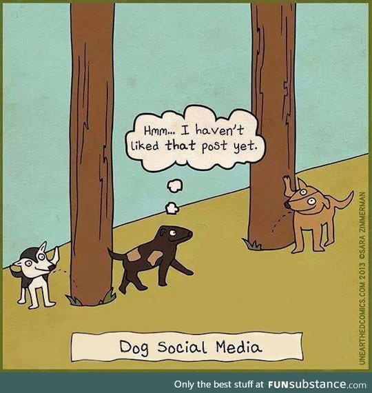 Dog social media