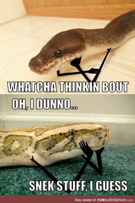 Snek stuff