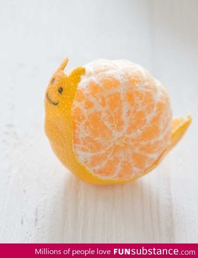 Orange snail