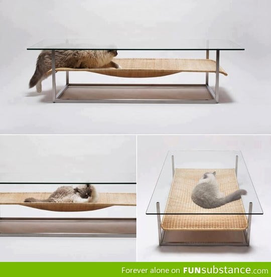 Coffee table design for cats