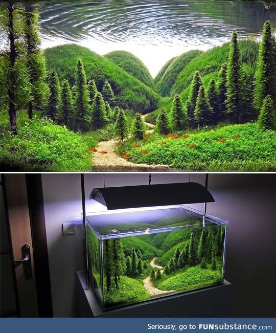 Wow, It's Just An Aquarium