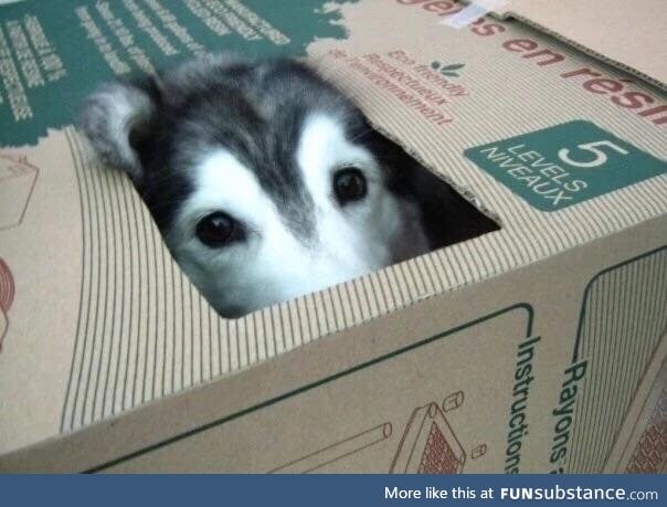 a box of g o o d b o y e