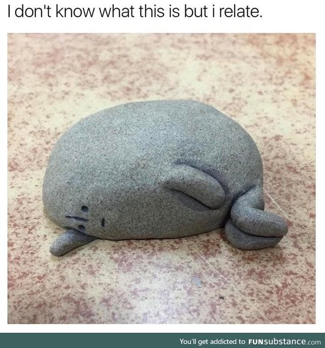 Even a rock feels relatable