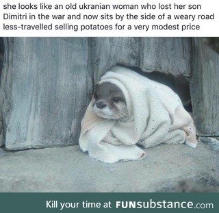 Poor babushka otter :(