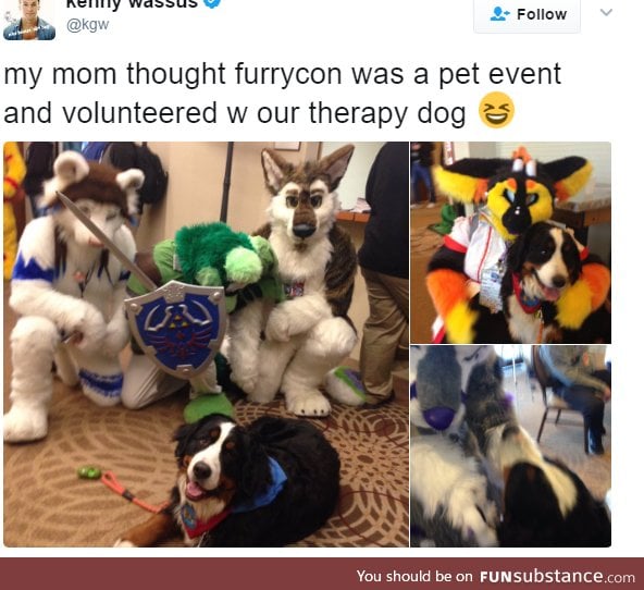 Doggo meets furries