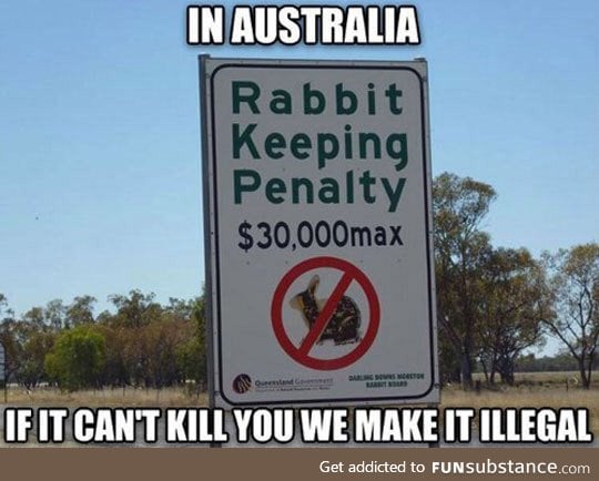 Australian laws