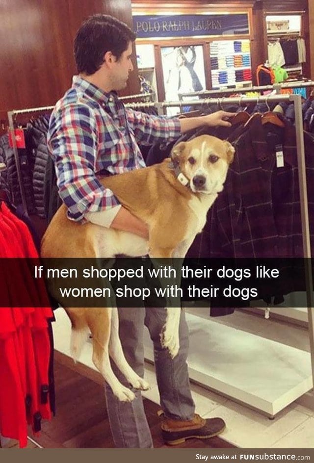 Man's best friend