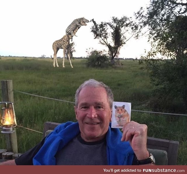 George Bush holding a picture of a hamster