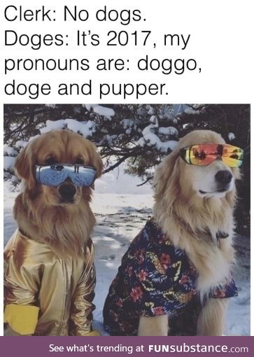 New pronouns