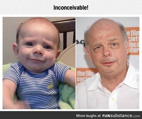 Wallace shawn baby