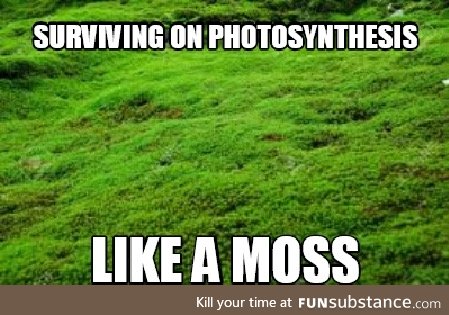 Moss