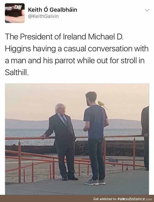 Meet the President of Ireland