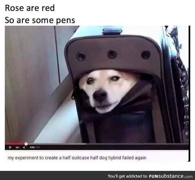 Roses are red