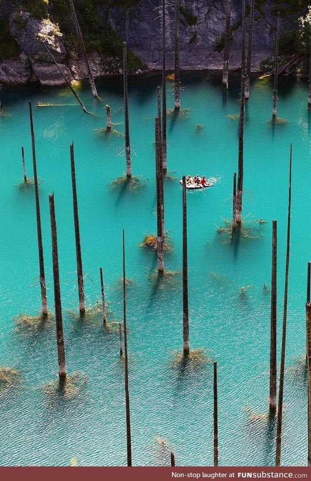 Sunken forest