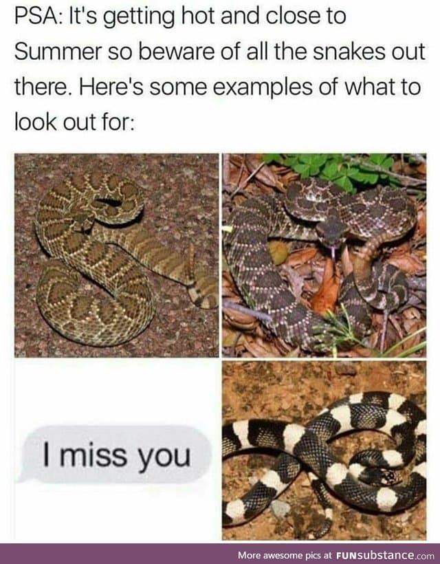 Snek