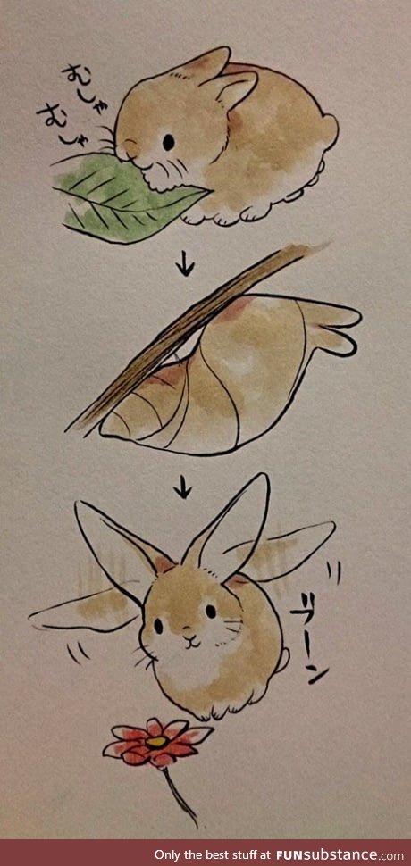 A Flutterbun