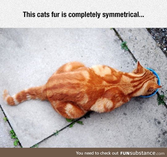 Symmetricat