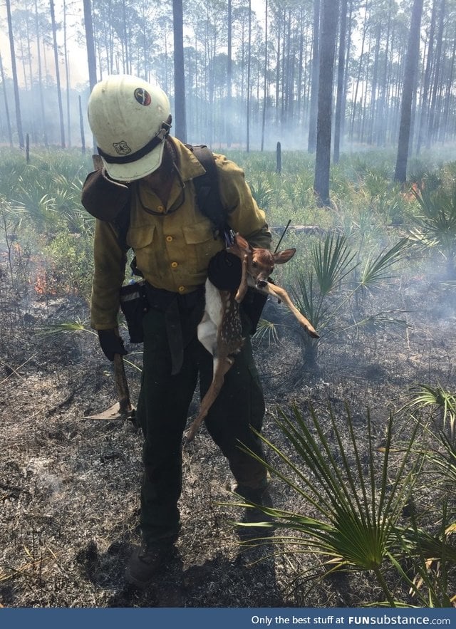 Firefighter saves a deer in 100k plus acre wild fire still burning out of control