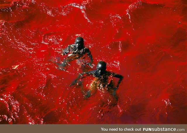 Two boys swimming in Lake Retba (or Lac Rose) in Senegal, Africa