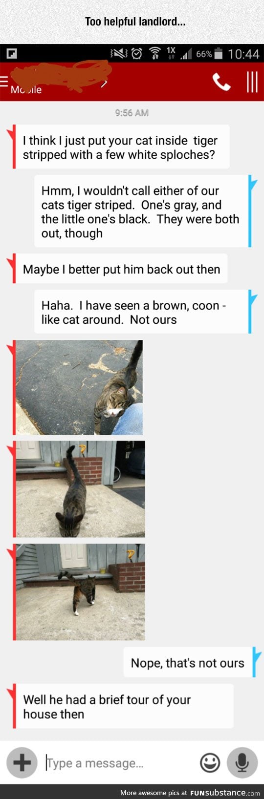 Landlord finds cat