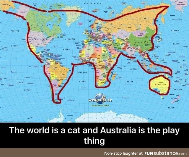 The world is a cat