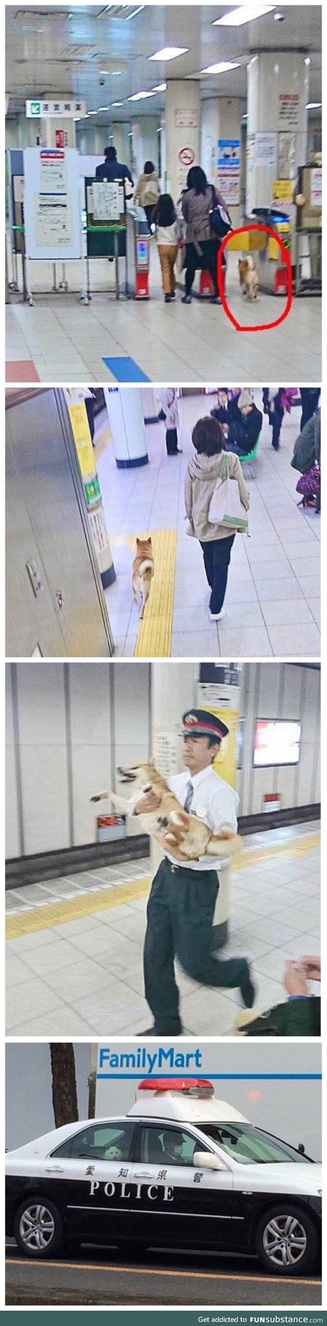 Doge was arrested for passing the gate without ticket