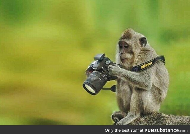 Nat Geo's newest recruit