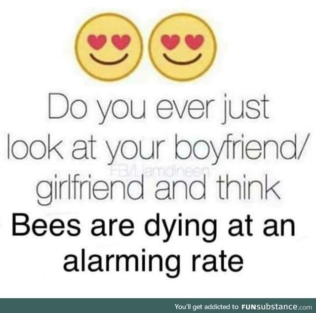 SAVE THE BEES