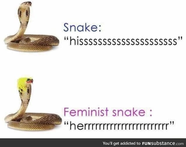 Snake are sexist