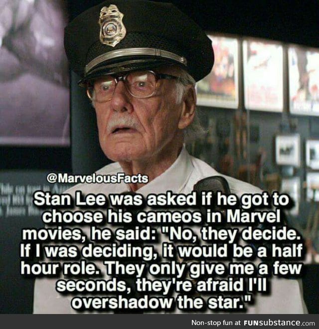 Stan marvelous lee