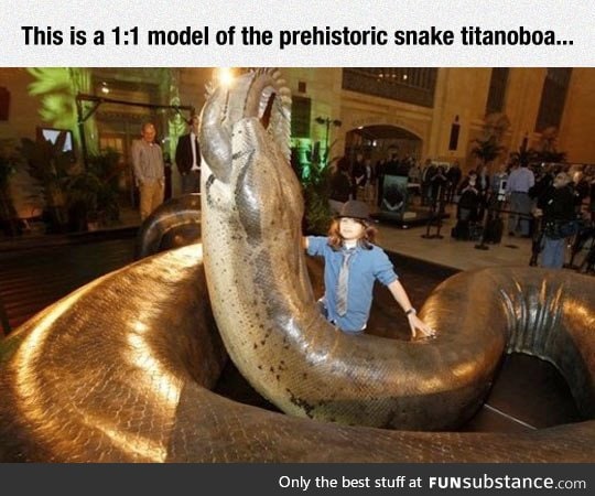 Giant prehistoric snake