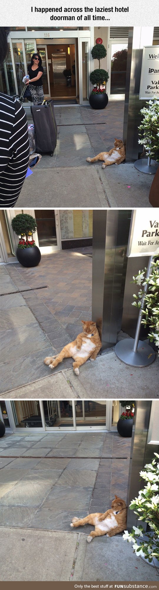 Laziest hotel doorman ever