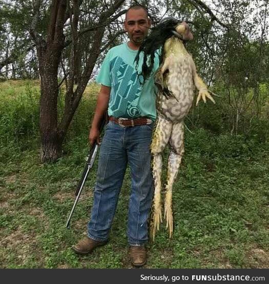 A FROG, Weight 6 KG, almost a adult human tall, found at South Texas