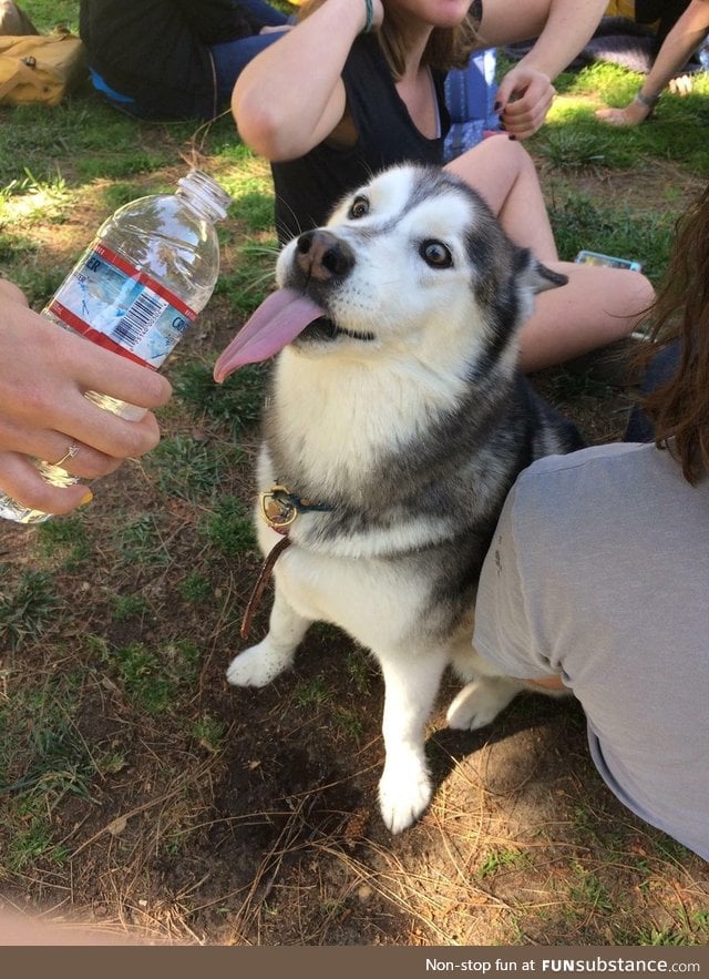 T H I R S T Y B O Y E does a loOOoOooOOong slurp!