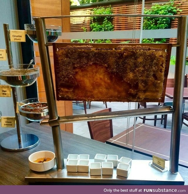 This hotel has fresh honey in their breakfast buffet