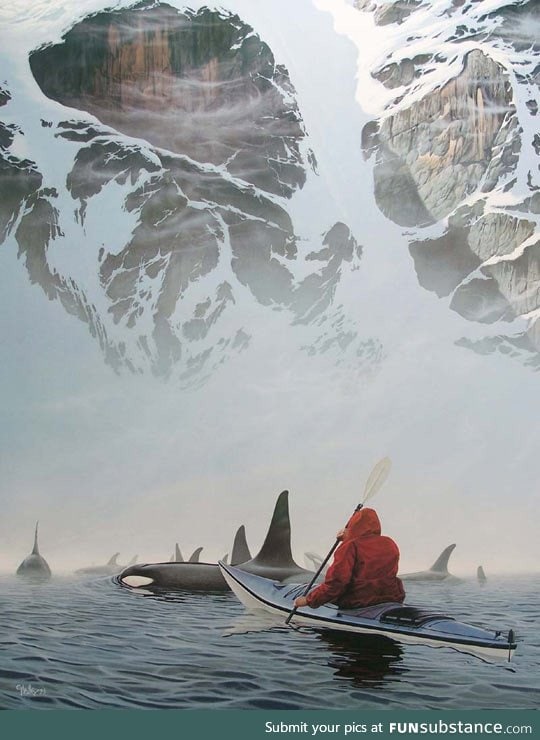 Kayaking with orcas