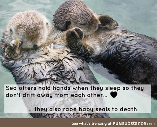 Sea otters