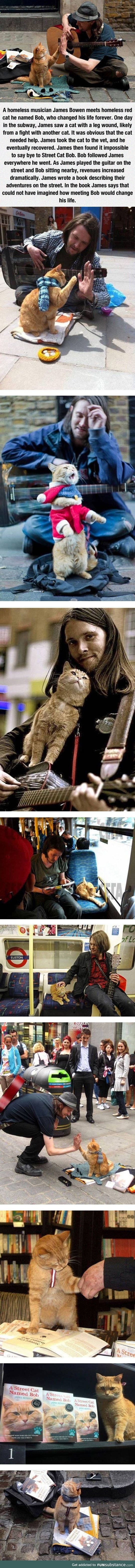 The homeless musician and his cat