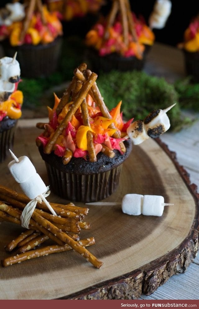 Campfire cupcakes!