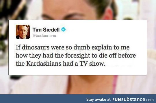 If dinosaurs were dumb