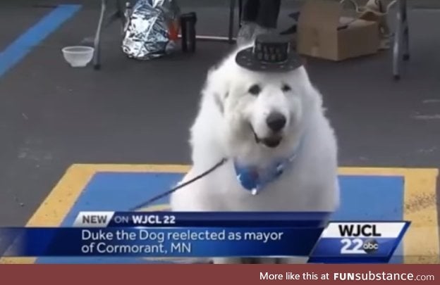 Pupular mayor elected fur the third time