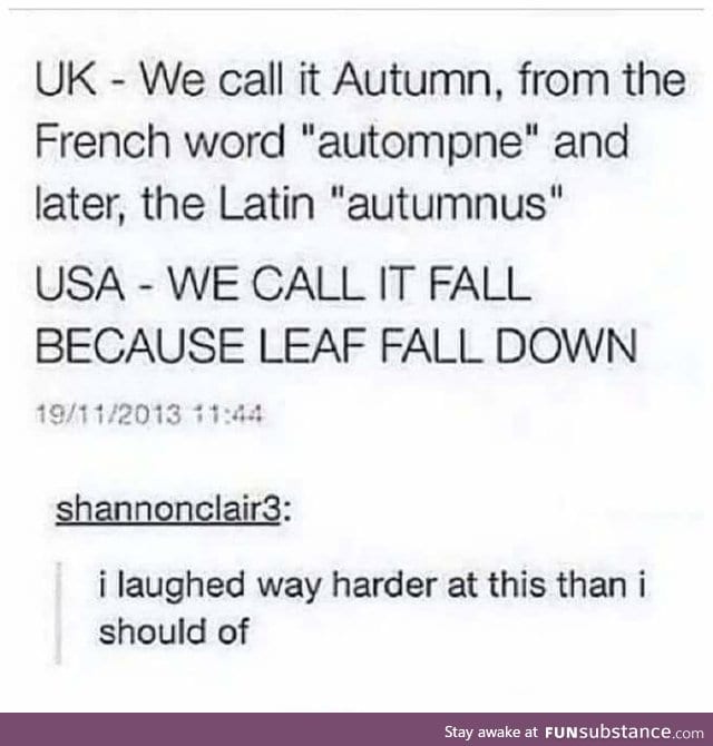 LEAF FALL! MUCH GRAVITY!