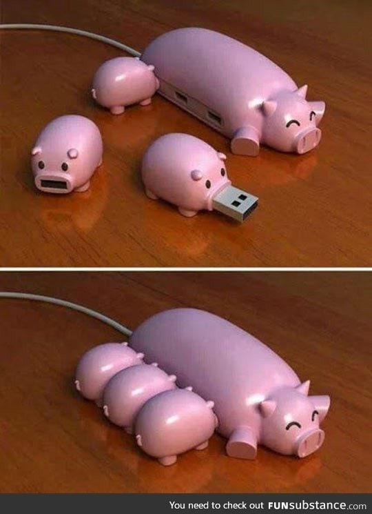 Piggy usb hub