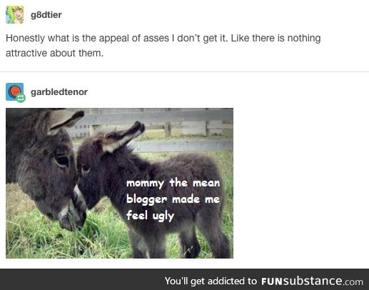 The posts that make tumblr worthwhile